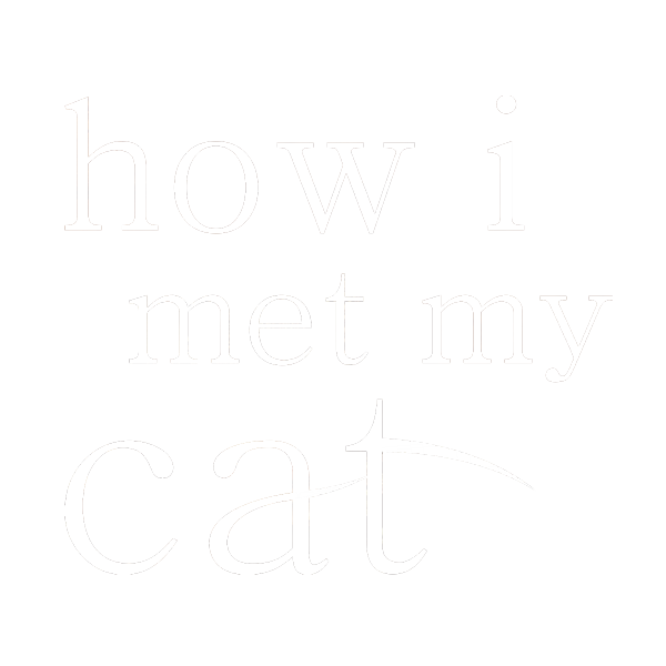 How I Met My Cat